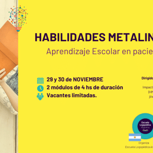 HABILIDADES METALINGÜÍSTICAS